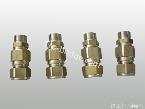 黃銅(tong)铠裝電(dian)纜密封(fēng)接頭